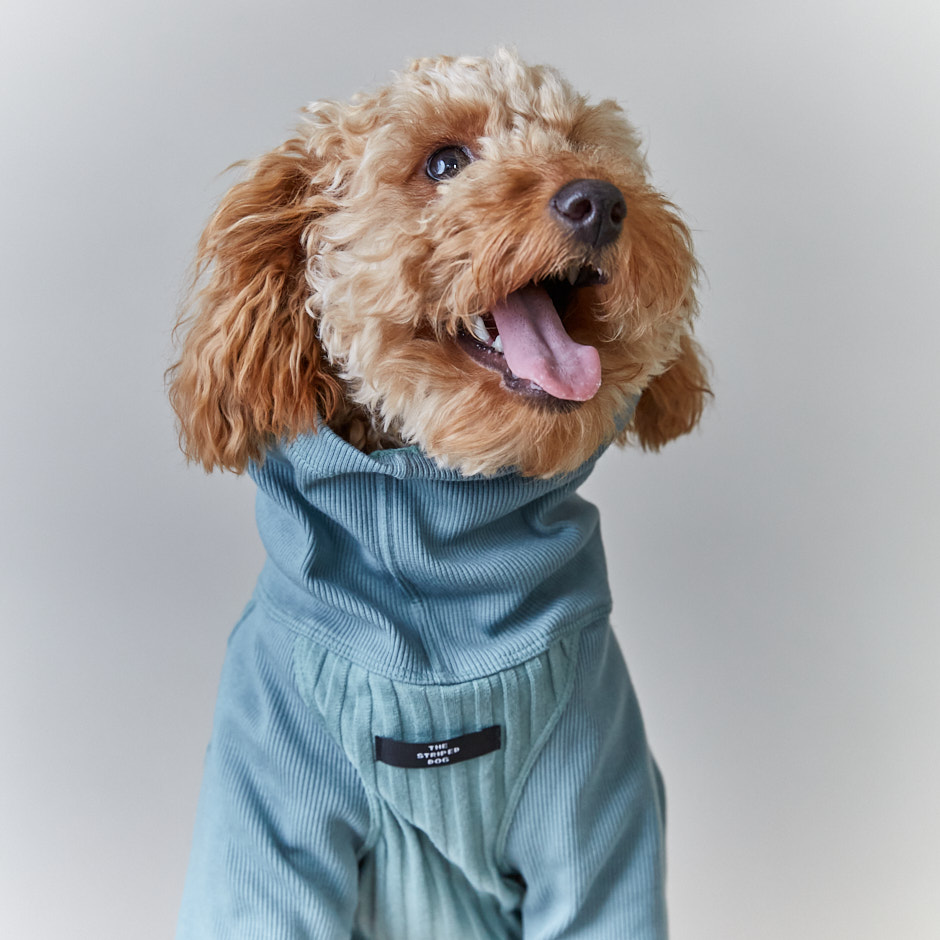 the-striped-dog-sueter-cuello-tortuga-manga-34-azul-cambridge