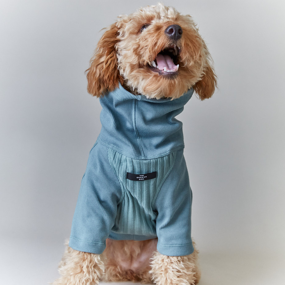 the-striped-dog-sueter-cuello-tortuga-manga-34-azul-cambridge