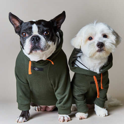 the-striped-dog-sueter-con-capucha-manga-larga-coney
