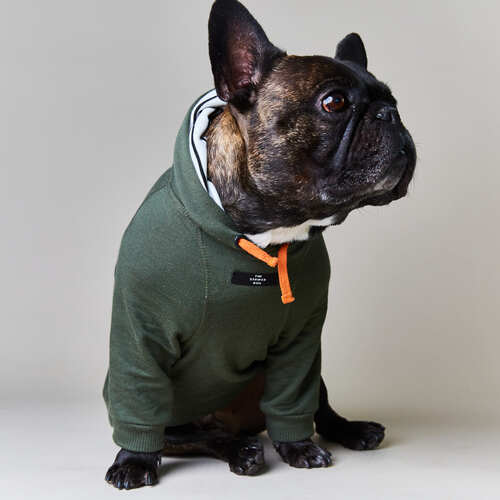 the-striped-dog-sueter-con-capucha-manga-larga-coney