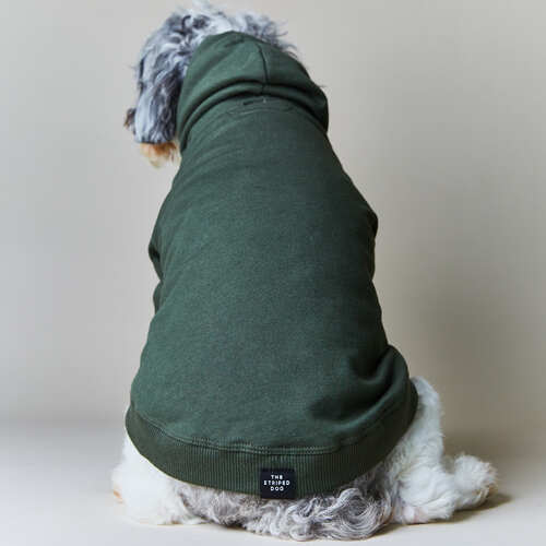 the-striped-dog-sueter-con-capucha-manga-larga-coney