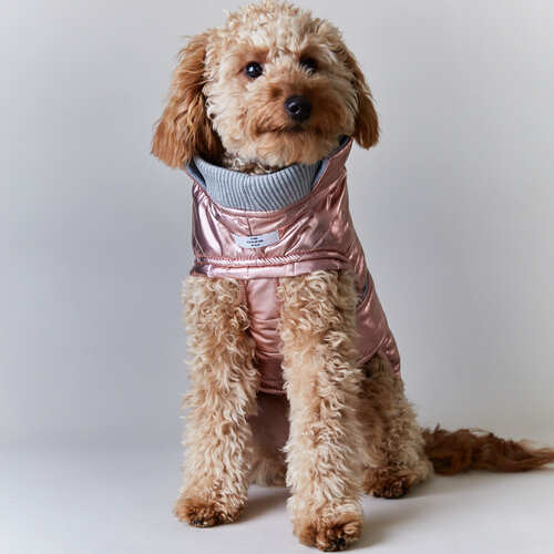 The Striped Dog Chaqueta impermeable Rosada  LONDON