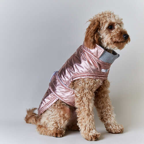 the-striped-dog-chaqueta-impermeable-rosada-london