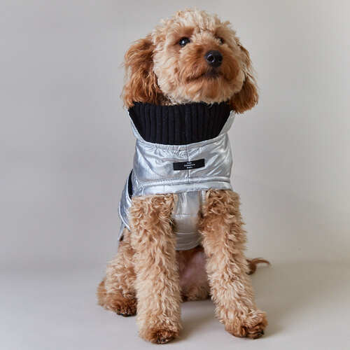 The Striped Dog Chaqueta impermeable  Plateada LONDON