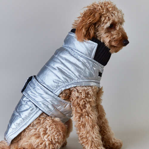 the-striped-dog-chaqueta-impermeable-plateada-london
