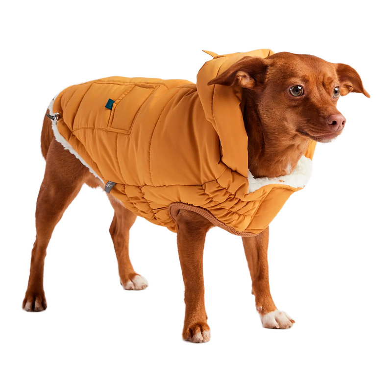 gf-pet-parka-super-puff-amarillo