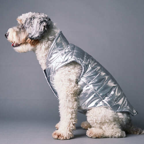 the-striped-dog-chaleco-impermeable-bushwick