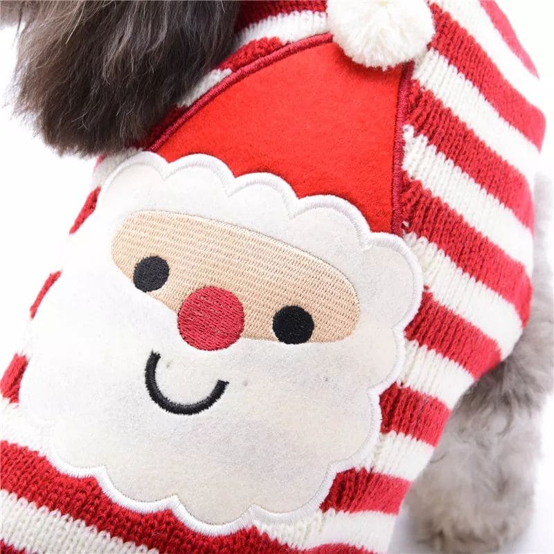 valentin-for-pets-sueter-papa-noel