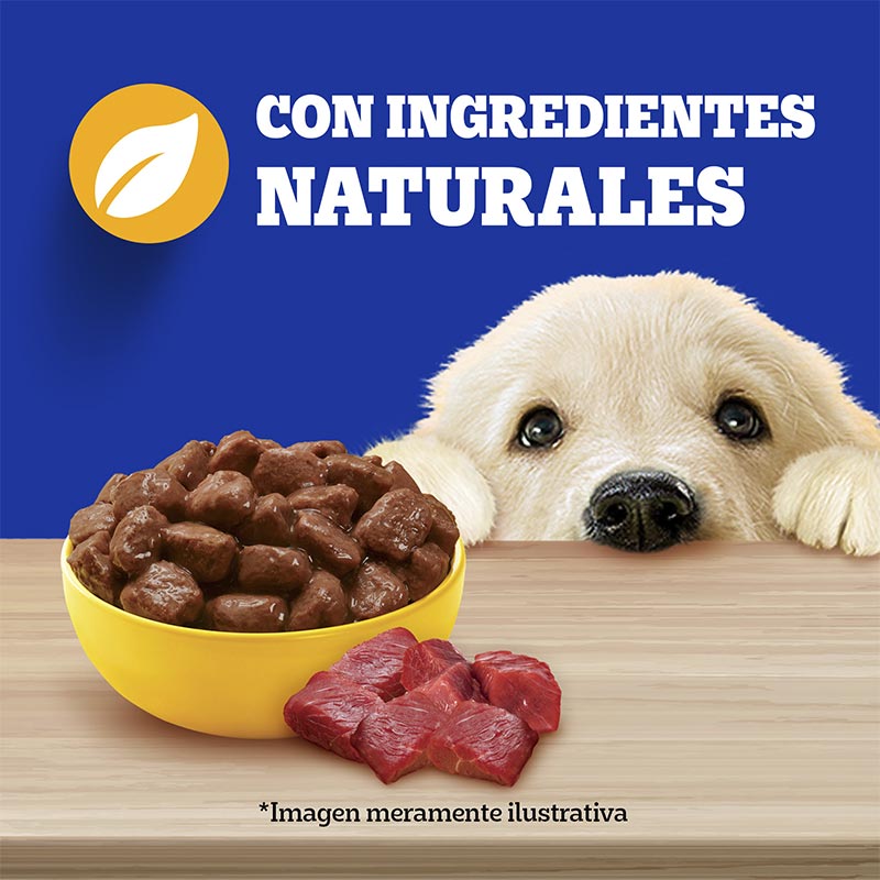 pedigree-alimento-humedo-sobrecito-perro-cachorro-carne