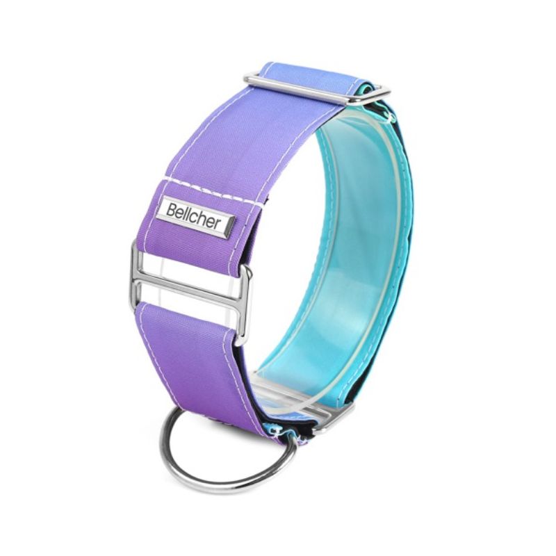 bellcher-collar-martingale-gradient-lila-5-cm