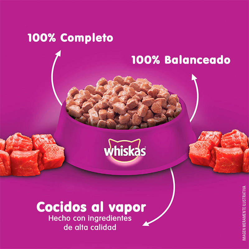 whiskas-alimento-humedo-sobrecito-gatitos-carne-salsa