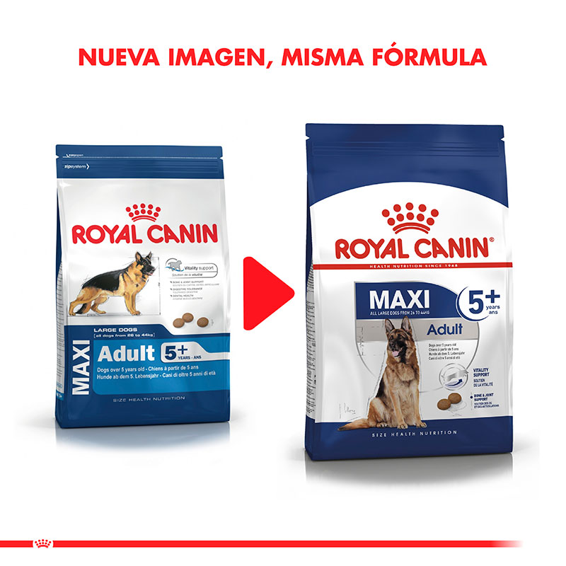 royal-canin-maxi-adulto-5