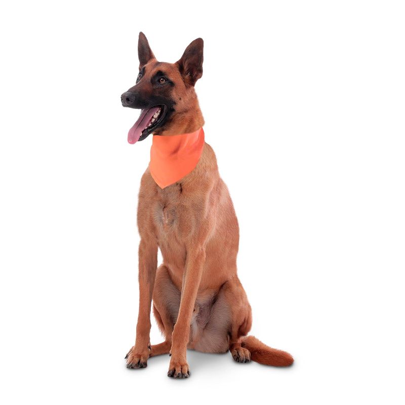 totto-pets-panuelo-menta-doble-faz-azulnaranja