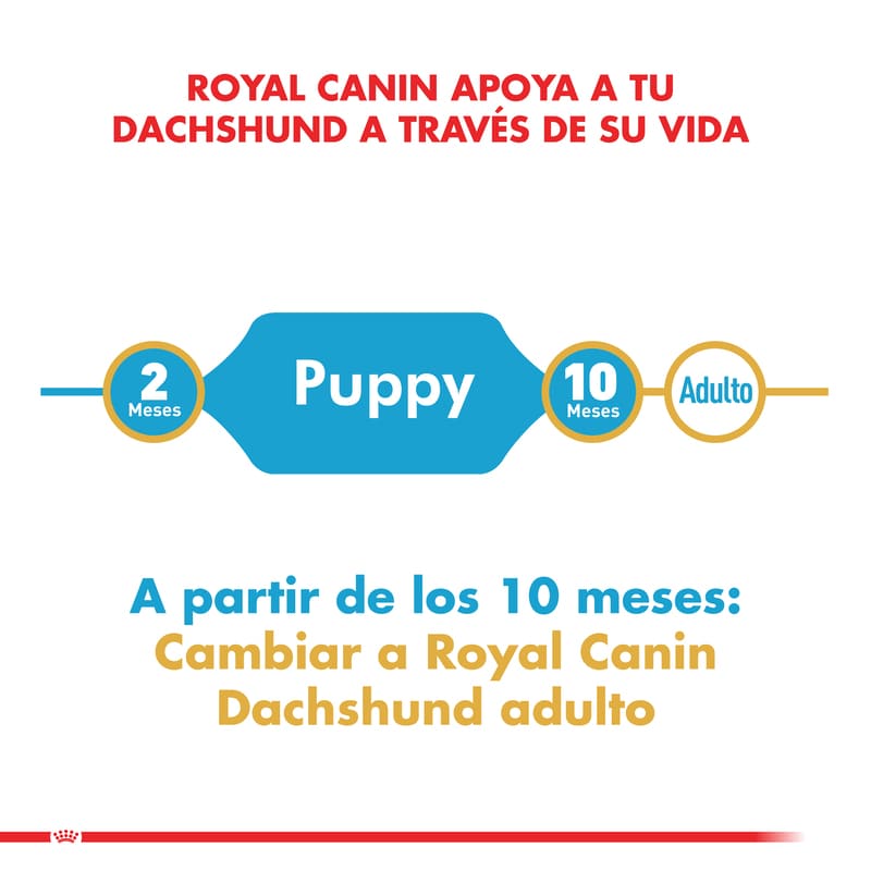 royal-canin-alimento-seco-perro-cachorro-dachshund-puppy