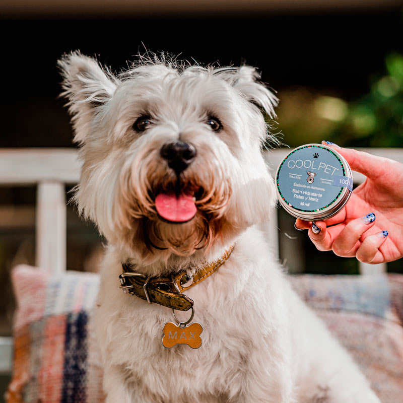 cool-pet-balm-hidratante-karite