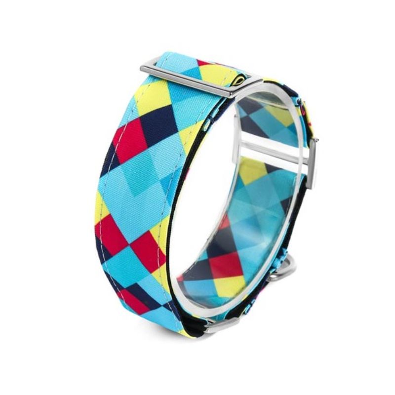 bellcher-collar-martingale-taylor-5-cm