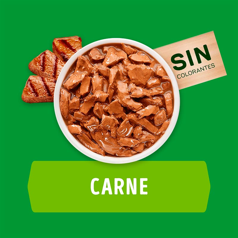 dog-chow-alimento-humedo-para-perro-cachorros-con-carne