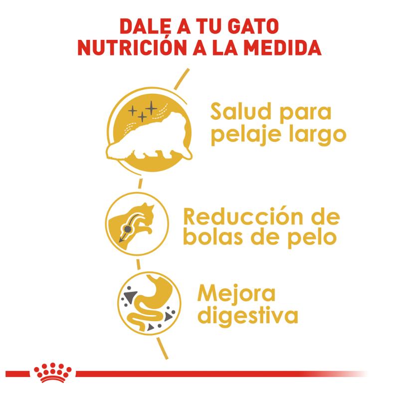 royal-canin-persa-adulto