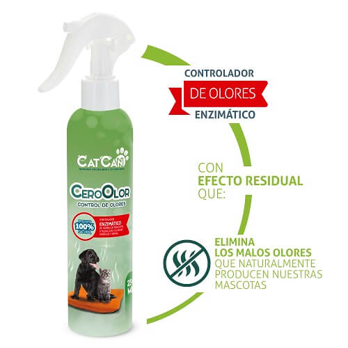 cat-can-cero-olor-en-el-ambiente