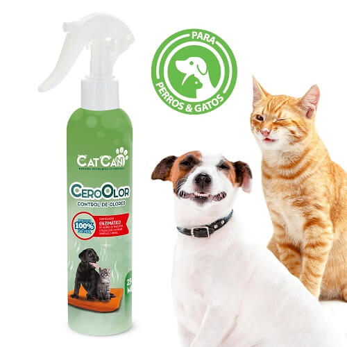 cat-can-cero-olor-en-el-ambiente