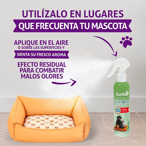 cat-can-cero-olor-en-el-ambiente