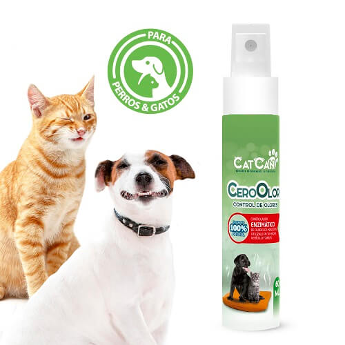 cat-can-cero-olor-en-el-ambiente