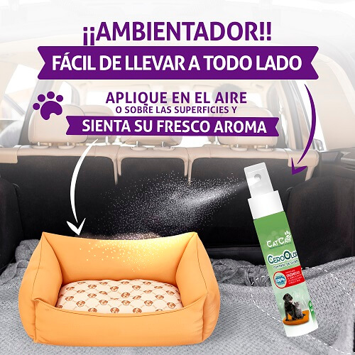 cat-can-cero-olor-en-el-ambiente