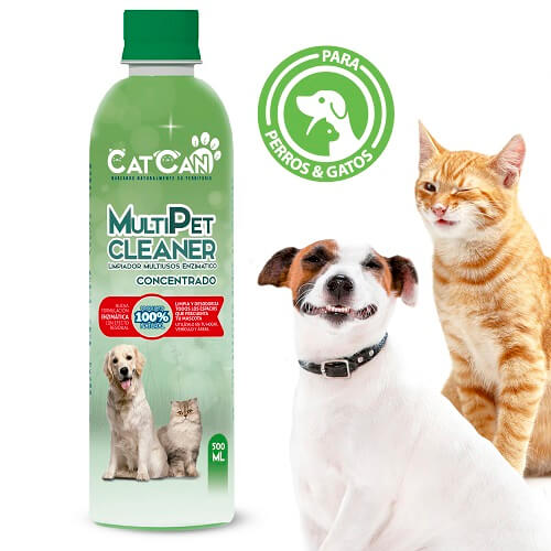 POS Cat Can - Promotion 5-Dic