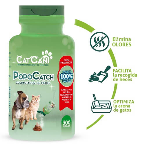 catcan-popo-catch