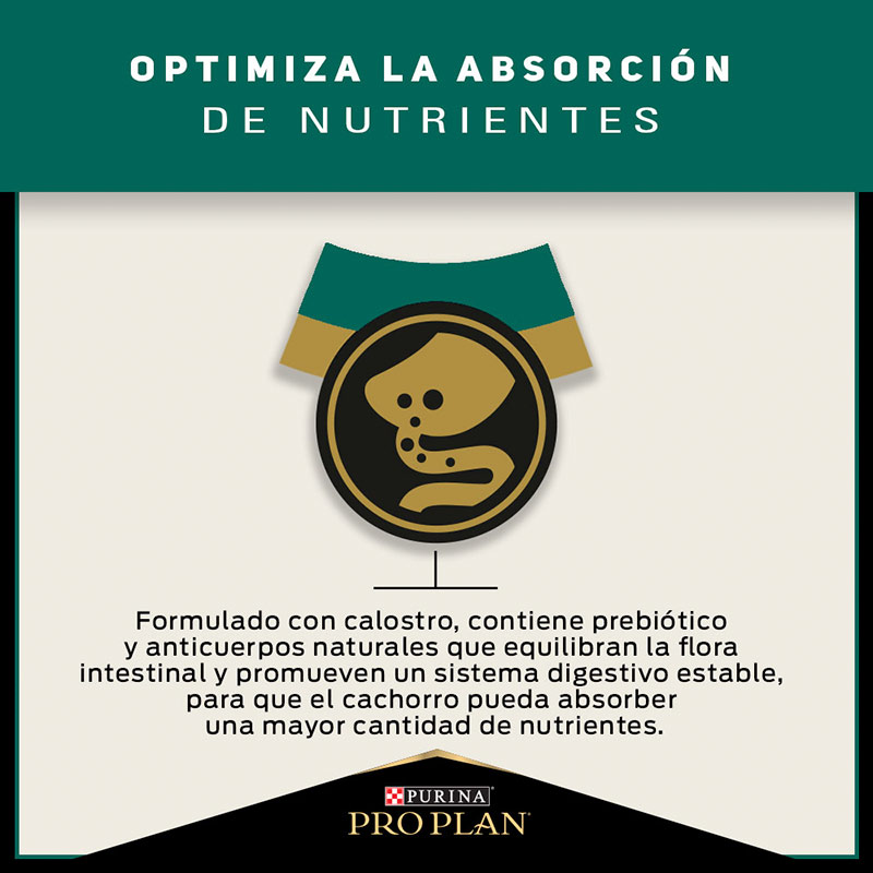 pro-plan-dog-puppy-optistart-raza-mediana