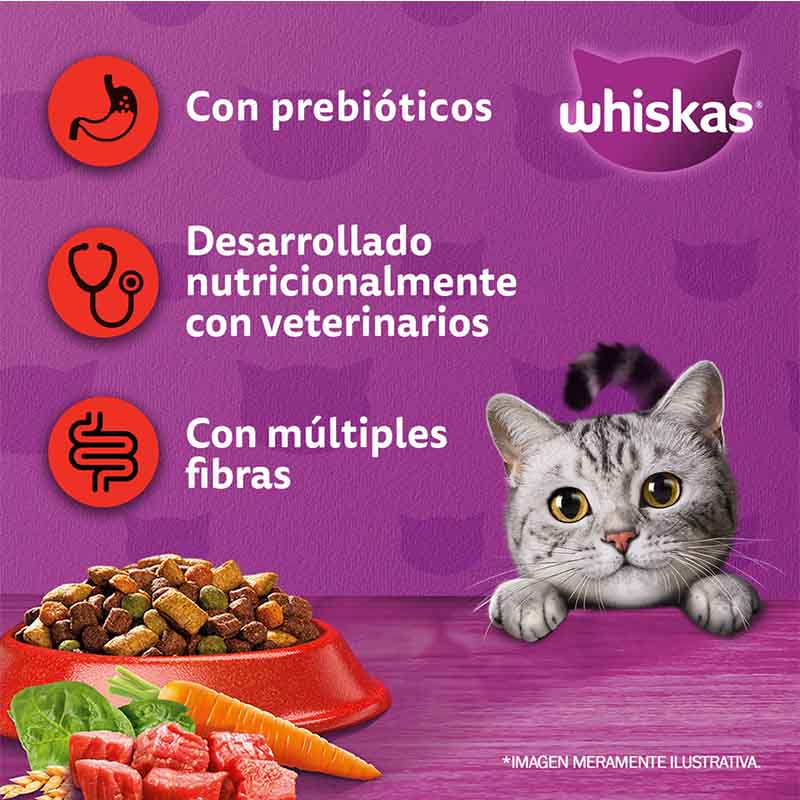 whiskas-alimento-seco-para-gato-adulto-sabor-carne