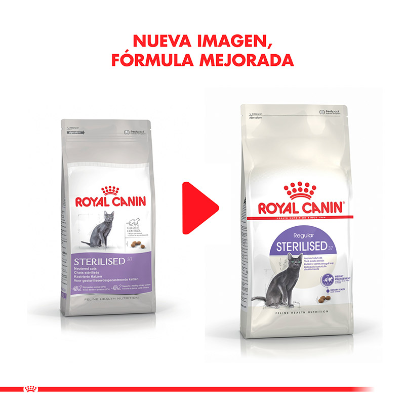 royal-canin-gatos-esterelizados-adulto