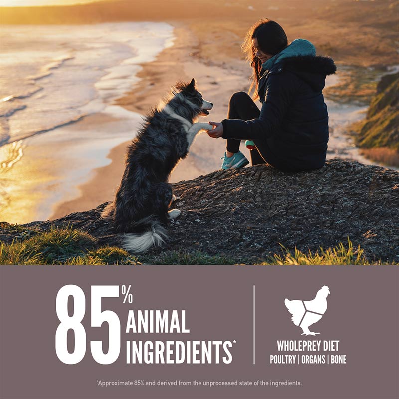 orijen-alimento-fit-trim-dog
