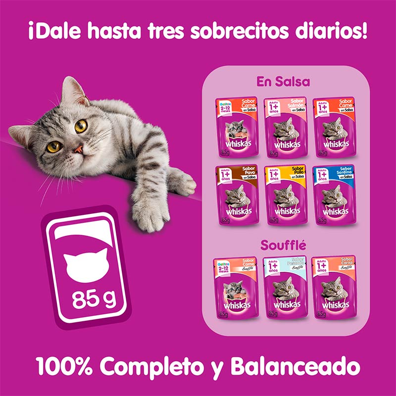 whiskas-alimento-humedo-sobre-gatos-castrados-pescado