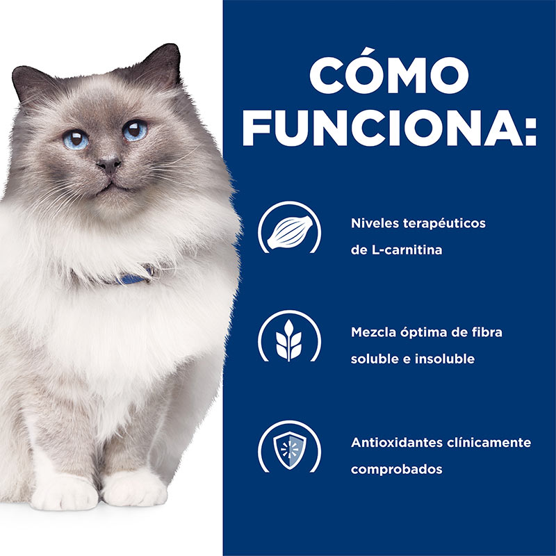 hills-prescription-diet-rd-weight-reduction-cat