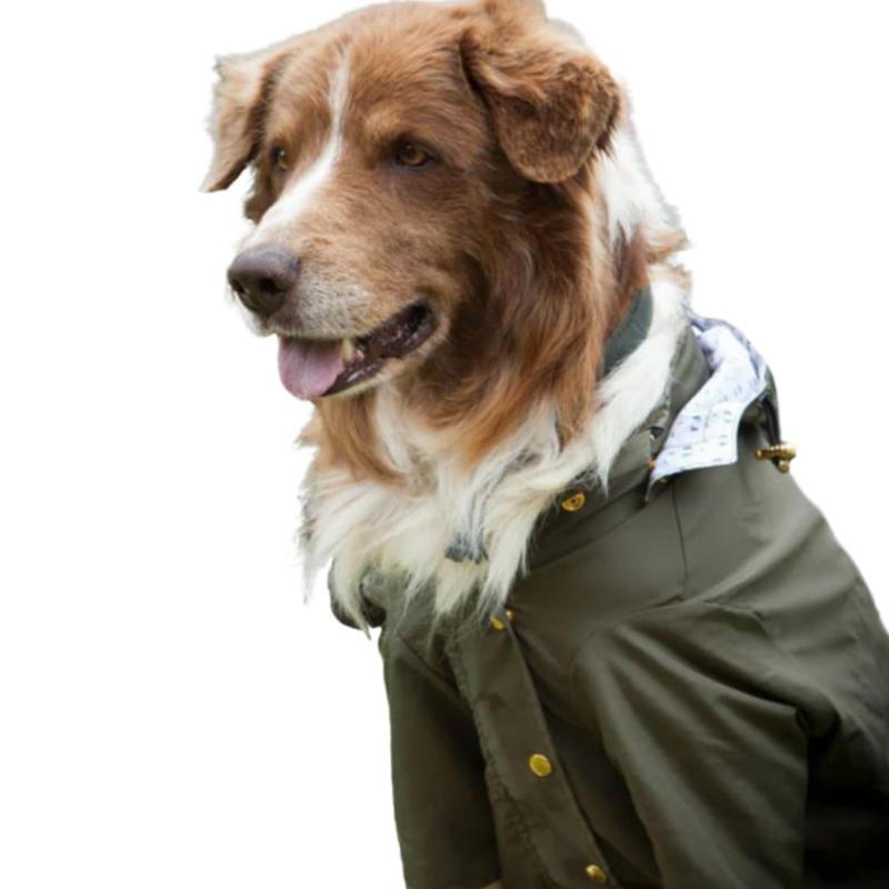 feroz-chaqueta-impermeable-verde-militar-con-bolsillo-guardafacil