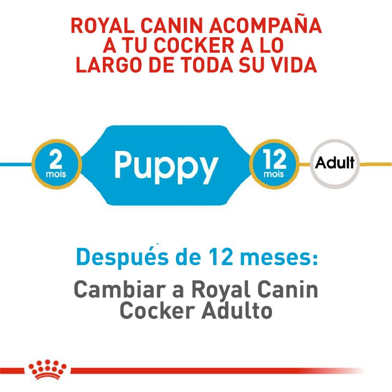 royal-canin-cocker-puppy