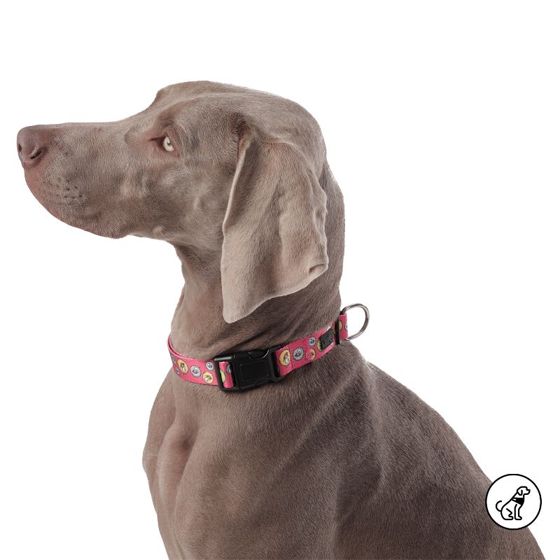 totto-pets-collar-ajustable-perro-mylu-rojo