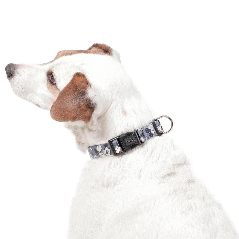 totto-pets-collar-ajustable-perro-mylu-mickey-mouse-gris