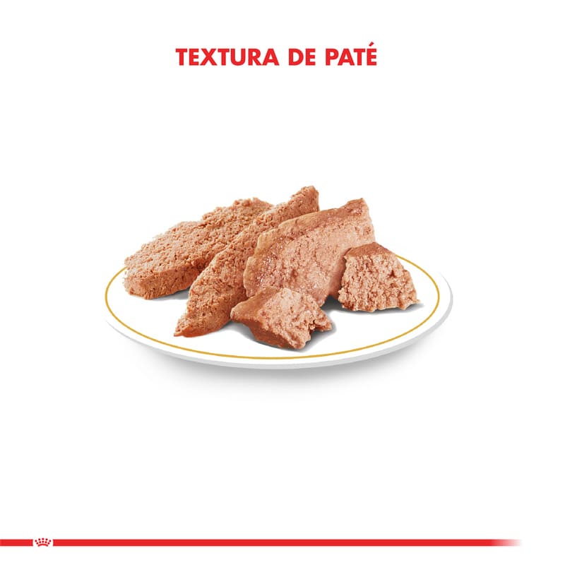 royal-canin-alimento-humedo-perro-adulto-chihuahua