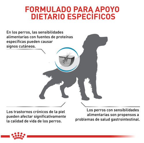 royal-canin-anallergenic-dog
