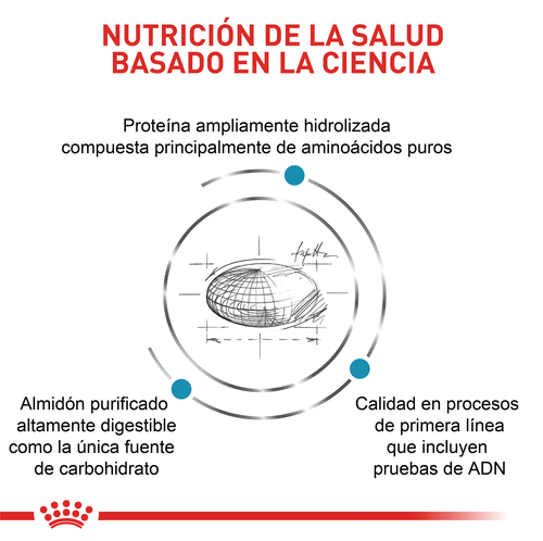 royal-canin-anallergenic-dog