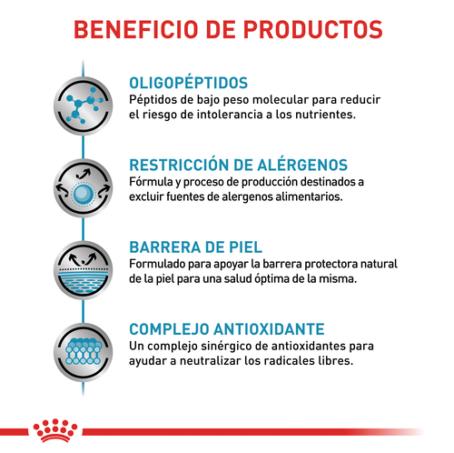 royal-canin-anallergenic-dog