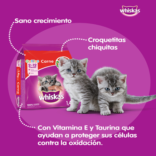 whiskas-alimento-para-gatito-carne