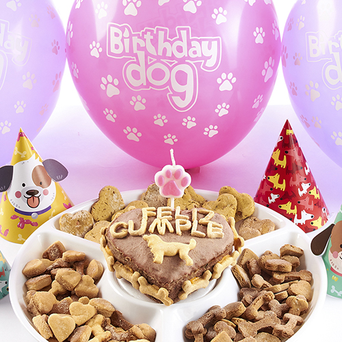 Pet Brunch Pastel Cumpleaños Hígado