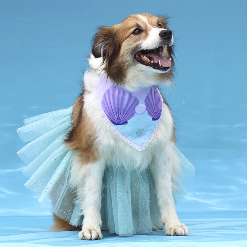 alana-bandana-disfraz-perro-la-sirenita-pet