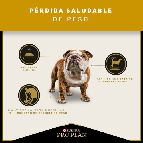 pro-plan-calorias-reducidas-adultos-razas-medianas-y-grandes