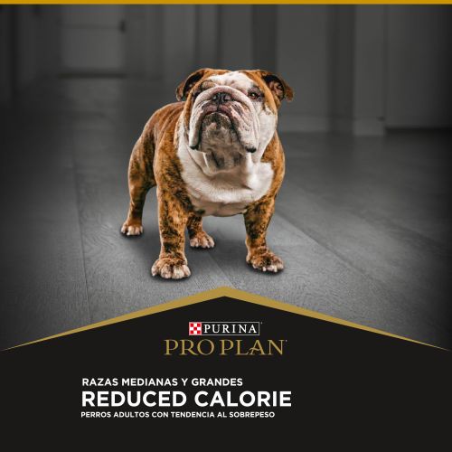pro-plan-calorias-reducidas-adultos-razas-medianas-y-grandes