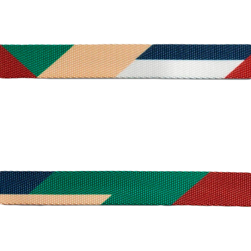 zeedog-pacco-leash