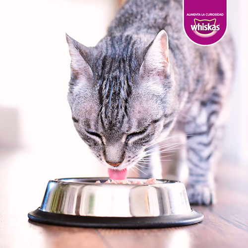 whiskas-alimento-humedo-gato-adulto-pague-5-lleve-7-sobres